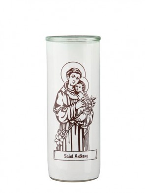 Dadant Candle Saint Anthony Glass Globe - Case of 12 Globes
