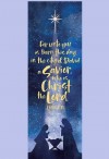 Celebration Banners December Series "A Savior Is Born" 23"W X 63"H Worship Banner
